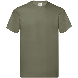 Vêtements Homme T-shirts manches courtes Fruit Of The Loom SS12 Vert kaki