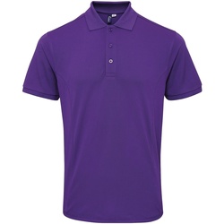 Vêtements Homme T-shirts & Polos Premier PR630 Violet