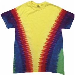 Vêtements Enfant T-shirts manches courtes Colortone TD05B Arc-en-ciel