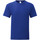 Vêtements Homme T-shirts Brush manches longues Fruit Of The Loom Iconic 150 Bleu