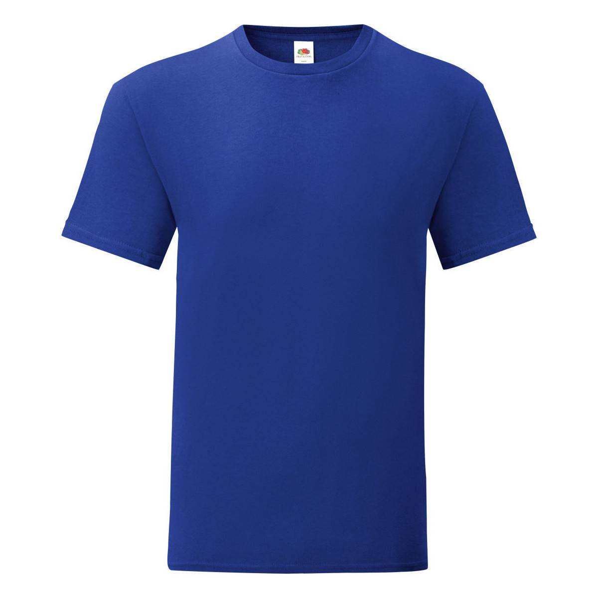 Vêtements Homme T-shirts manches longues Fruit Of The Loom 61430 Bleu