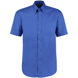 Vêtements Homme Chemises manches courtes Kustom Kit Oxford Bleu roi