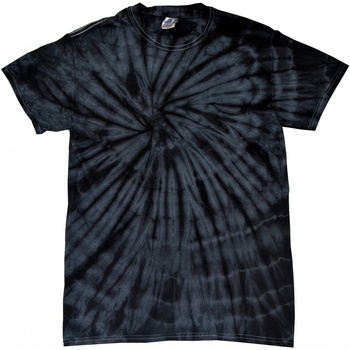 Vêtements Enfant T-shirts manches courtes Colortone Spider Noir