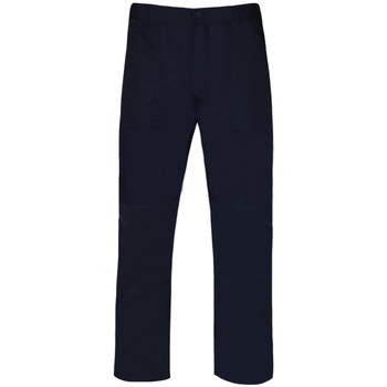 Vêtements Homme Pantalons de survêtement Regatta TRJ330R Bleu