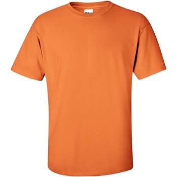 Vêtements Homme T-shirts manches courtes Gildan Ultra Mandarine