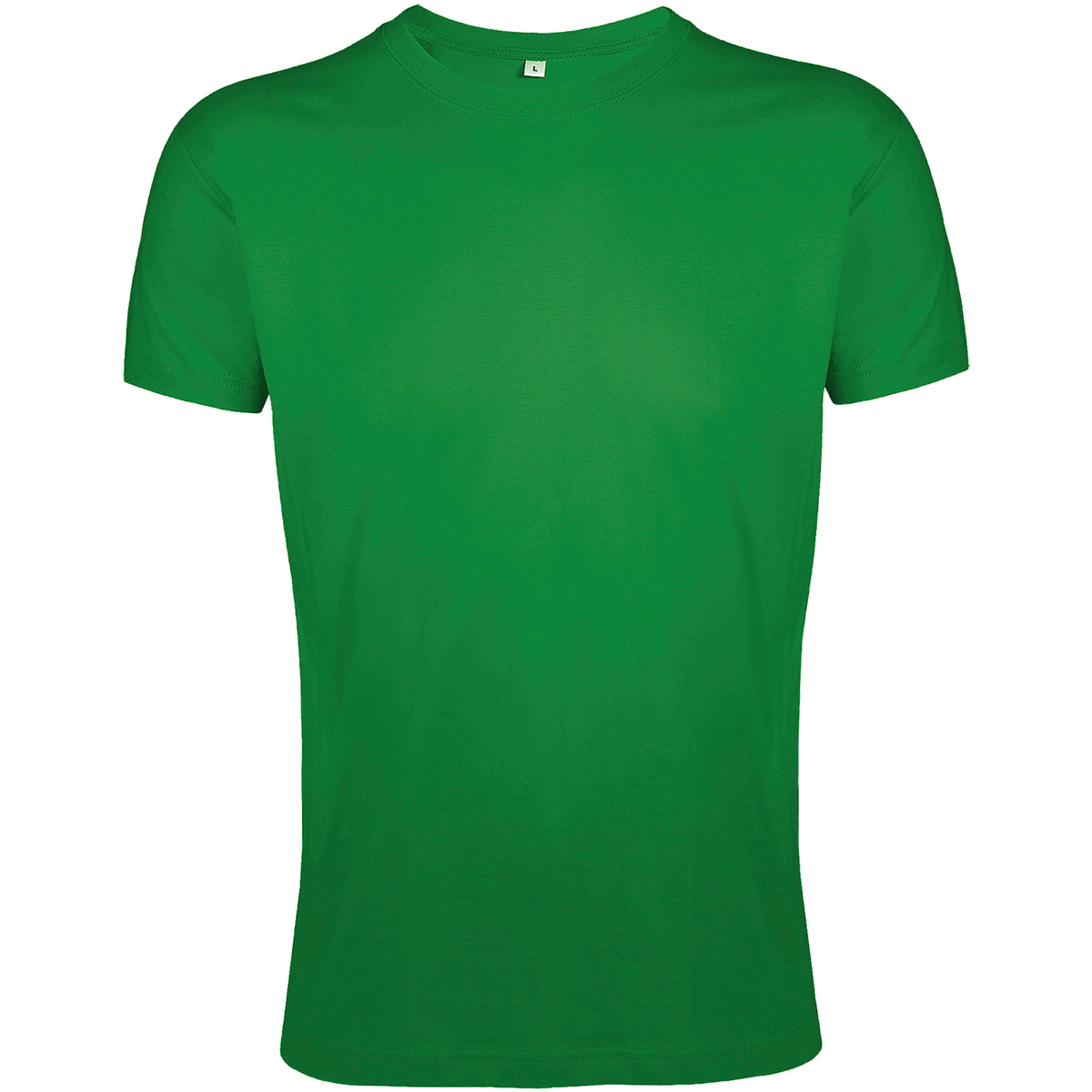 Vêtements Homme T-shirts manches courtes Sols 10553 Vert
