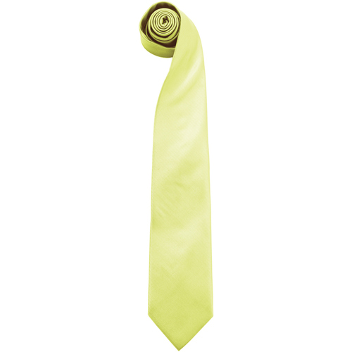 Vêtements Homme Cravates et accessoires Premier PR765 Vert