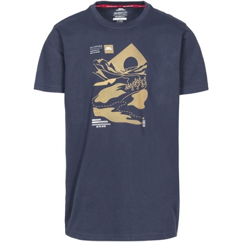 Vêtements Homme T-shirts manches longues Trespass Landscape Bleu