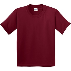 Vêtements Enfant T-shirts manches courtes Gildan 5000B Cardinal