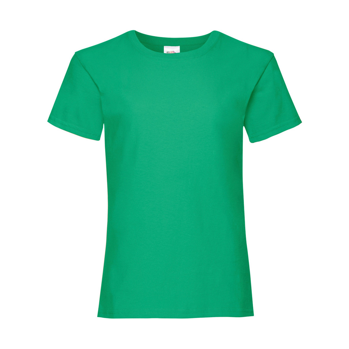 Vêtements Fille T-shirts manches courtes Fruit Of The Loom Valueweight Vert