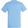Vêtements Homme T-shirts manches courtes Sols Regent Bleu