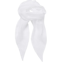 Accessoires textile Femme Echarpes / Etoles / Foulards Premier Formal Blanc