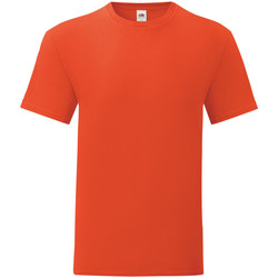 Vêtements Homme T-shirts manches longues Fruit Of The Loom Iconic 150 Orange