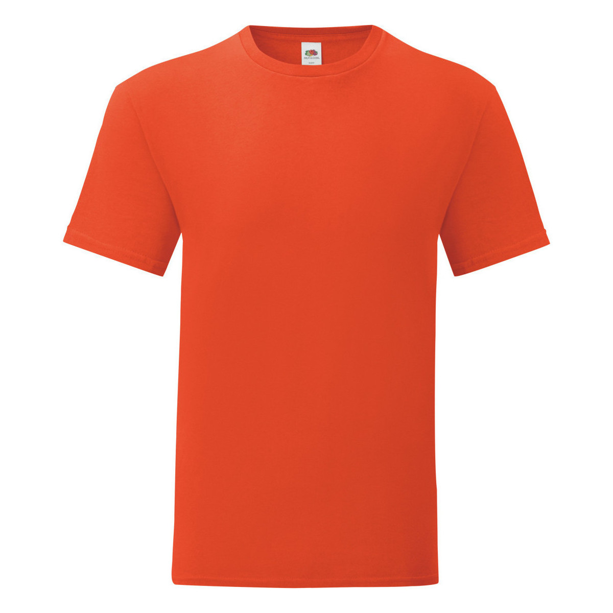 Vêtements Homme T-shirts manches longues Fruit Of The Loom Iconic 150 Orange