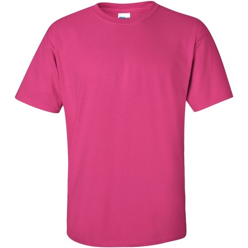 Vêtements Homme T-shirts dolces courtes Gildan Soft-Style Multicolore