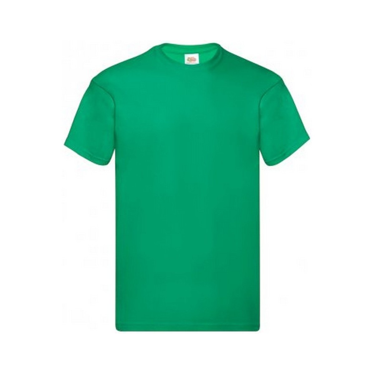 Vêtements Homme T-shirts manches courtes Fruit Of The Loom Original Vert