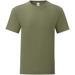 Vêtements Homme T-shirts manches courtes Fruit Of The Loom 61430 Vert kaki