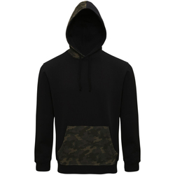 Vêtements Homme Sweats Asquith & Fox AQ047 Noir / vert
