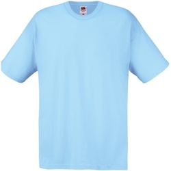 Vêtements Homme T-shirts manches courtes Fruit Of The Loom 61082 Bleu ciel