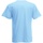 Vêtements Homme T-shirts manches courtes Fruit Of The Loom 61082 Bleu