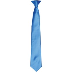 Vêtements Homme Cravates et accessoires Premier Satin Saphir