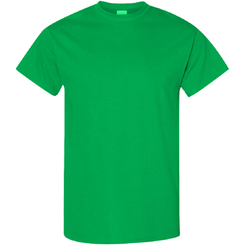 Vêtements Homme T-shirts manches courtes Gildan Heavy Vert clair