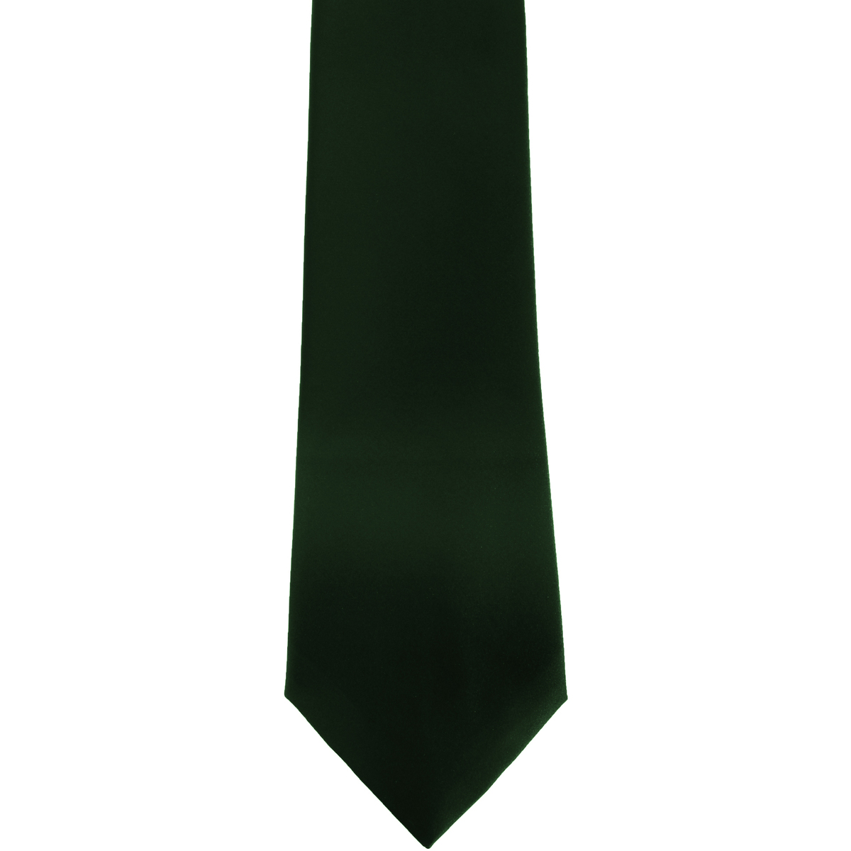 Vêtements Homme Cravates et accessoires Premier Satin Vert