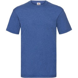 Vêtements Homme T-shirts manches courtes Fruit Of The Loom 61036 Bleu roi chiné