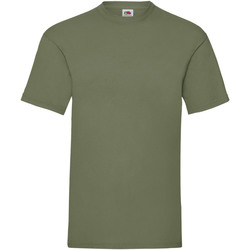Vêtements Homme T-shirts manches courtes Fruit Of The Loom 61036 Vert kaki