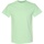 Vêtements Homme T-shirts Jacquard manches courtes Gildan Heavy Vert
