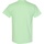 Vêtements Homme T-shirts Jacquard manches courtes Gildan Heavy Vert