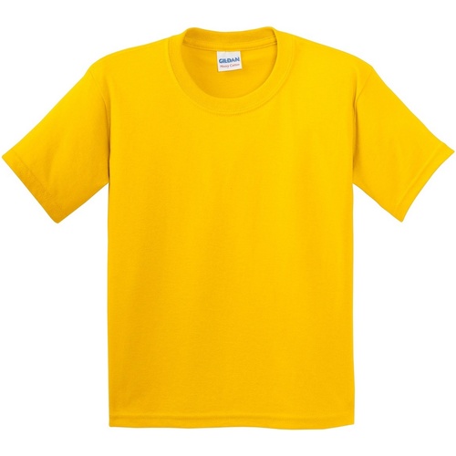 Vêtements Enfant Heavy Lime Mc Coton Gildan 5000B Multicolore