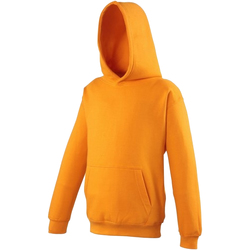 Vêtements Enfant Sweats Awdis JH01J Orange