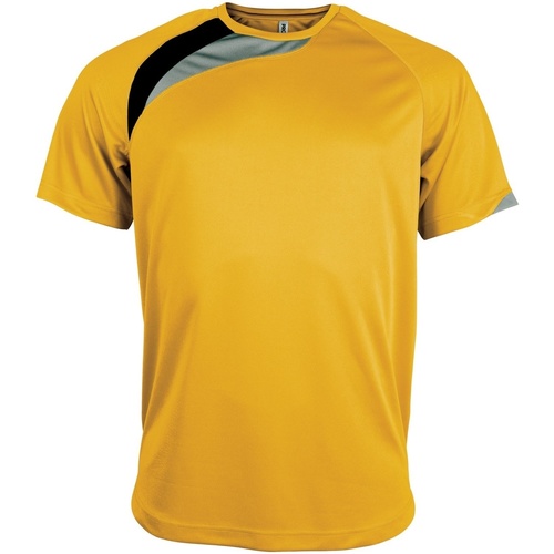 Vêtements Homme T-shirts manches courtes Kariban Proact PA436 Multicolore