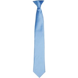 Vêtements Homme Cravates et accessoires Premier Satin Bleu moyen