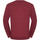 Vêtements Homme Sweats Russell Collection Pullover à col en V BC1012 Multicolore