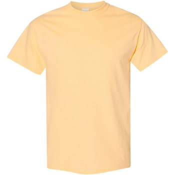Vêtements Homme T-shirts manches courtes Gildan Heavy Multicolore