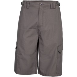 Vêtements Homme Shorts / Bermudas Trespass Regulate Gris