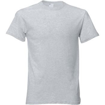 Vêtements Homme T-shirts manches courtes Universal Textiles 61082 Gris