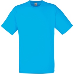 Vêtements Homme T-shirts manches courtes Fruit Of The Loom 61036 Bleu vif