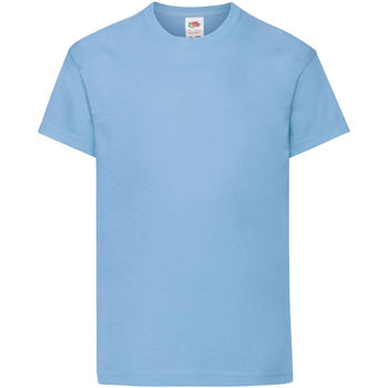 Vêtements Enfant T-shirts manches courtes Fruit Of The Loom 61019 Bleu ciel