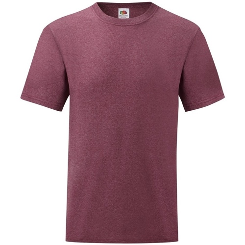 Vêtements Homme T-shirts manches courtes Vent Du Cap 61036 Multicolore