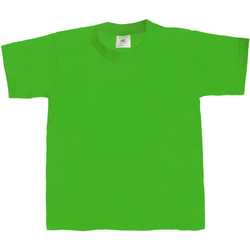 Vêtements Enfant T-shirts manches courtes zeer tevreden over dit t-shirt Exact 190 Vert tendre