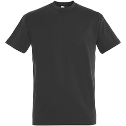 Vêtements Homme T-shirts manches courtes Sols 11500 Gris