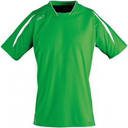 Vêtements Homme T-shirts manches courtes Sols Maracana Vert