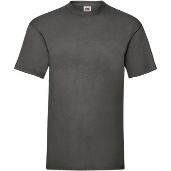 Vêtements Homme T-shirts manches courtes Fruit Of The Loom 61036 Gris