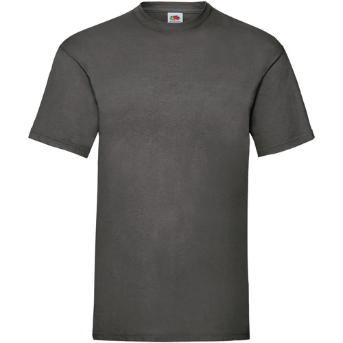 Vêtements Homme T-shirts manches courtes Le Coq Sportif 61036 Gris