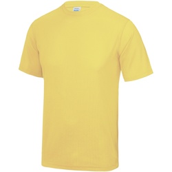 Vêtements Homme T-shirts manches courtes Awdis Performance Jaune citron