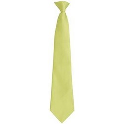 Vêtements Homme Cravates et accessoires Premier PR785 Vert