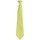 Vêtements Homme Cravates et accessoires Premier PR785 Vert